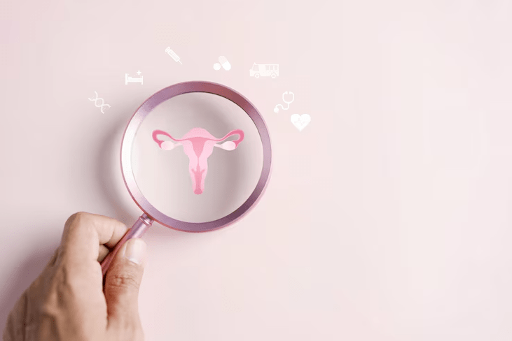 Menopause Expert Insights